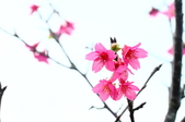 Enlarge photo 36