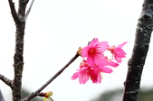 Enlarge photo 38