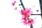 Enlarge photo 54