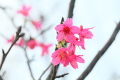 Enlarge photo 56