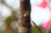 Enlarge photo 72