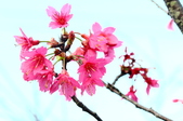 Enlarge photo 74