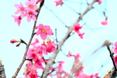 Enlarge photo 79