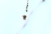 Enlarge photo 86
