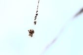 Enlarge photo 90