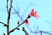 Enlarge photo 102