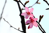 Enlarge photo 104