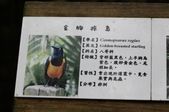 Enlarge photo 133