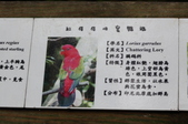 Enlarge photo 132