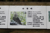 Enlarge photo 131