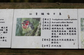 Enlarge photo 130