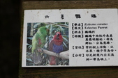 Enlarge photo 128