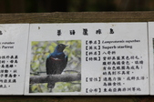 Enlarge photo 127