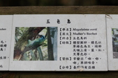 Enlarge photo 126