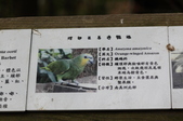 Enlarge photo 125
