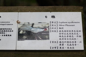 Enlarge photo 124