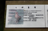 Enlarge photo 123