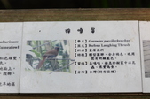 Enlarge photo 121