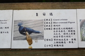 Enlarge photo 120
