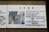Enlarge photo 119