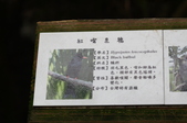 Enlarge photo 118
