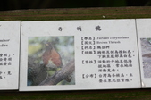 Enlarge photo 115
