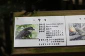Enlarge photo 113