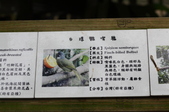 Enlarge photo 112