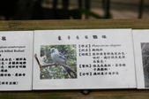 Enlarge photo 111