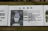 Enlarge photo 110