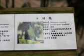 Enlarge photo 109