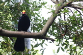 Enlarge photo 108
