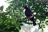 Enlarge photo 107