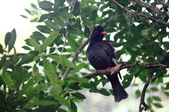 Enlarge photo 106