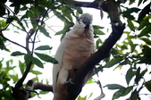 Enlarge photo 93