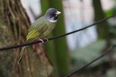 Enlarge photo 56