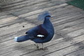 Enlarge photo 44