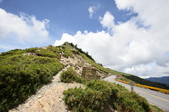 Enlarge photo 80