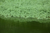 Enlarge photo 71