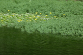 Enlarge photo 70