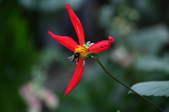Enlarge photo 62