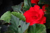 Enlarge photo 47