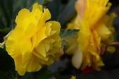 Enlarge photo 46