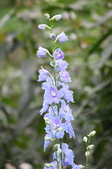 Enlarge photo 44