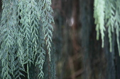 Enlarge photo 42