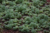 Enlarge photo 40