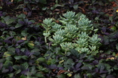Enlarge photo 37