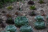 Enlarge photo 36