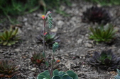 Enlarge photo 35