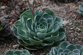Enlarge photo 34